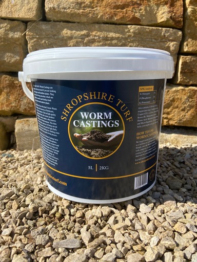 Worm Casts - Image 3